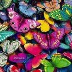 Meet your Posher, Julie